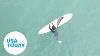 Baby Seal Hops On Surfboards Learns To Catch Waves Alongside Surfers USA Today