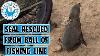 Seal Rescued From Ball Of Fishing Line